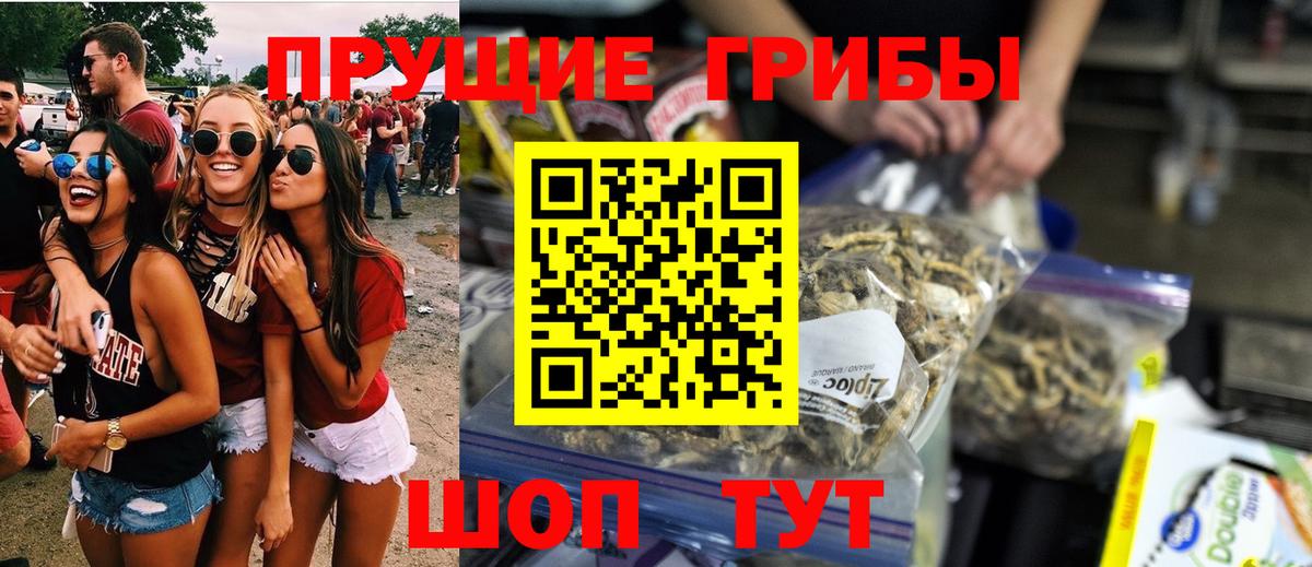 Галлюциногенные грибы GOLDEN TEACHER Керчь